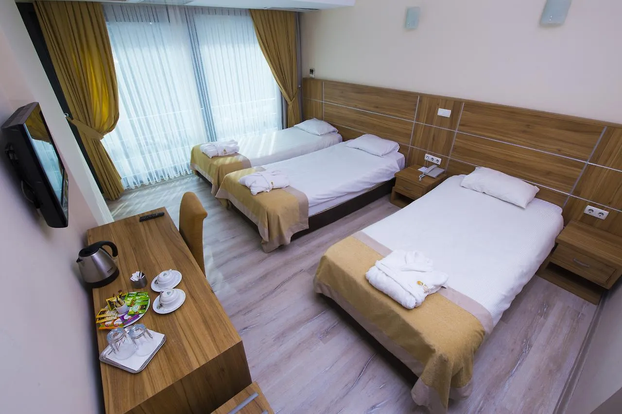 Volley Hotel 앙카라 3*,